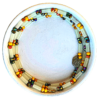 Colored Faceted Glass Crystalline Glow in the Dark Waist Beads